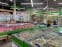 Холодильная витрина CARBOMA ATRIUM 2 GC120 VM 1,5-1 динамика